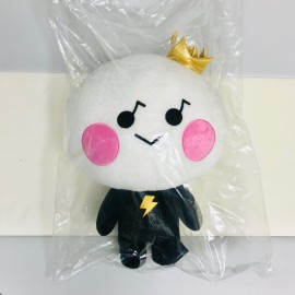 Package Ready to Ship - PK1076-20210524